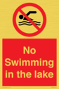 no-swimming-in-the-lake~